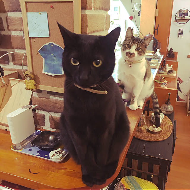jijiさんの実例写真