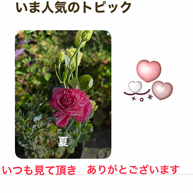 ritsukoさんの実例写真