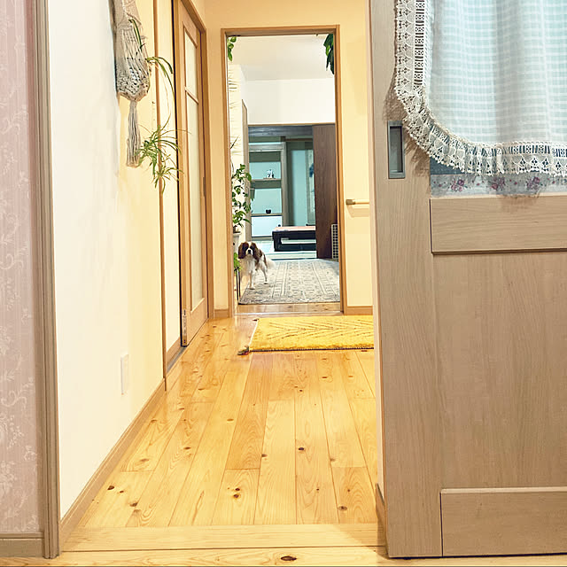 tenko.0306tuaさんの実例写真