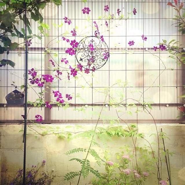 S.さんの実例写真