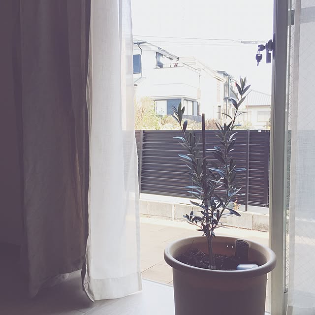 noricoさんの実例写真