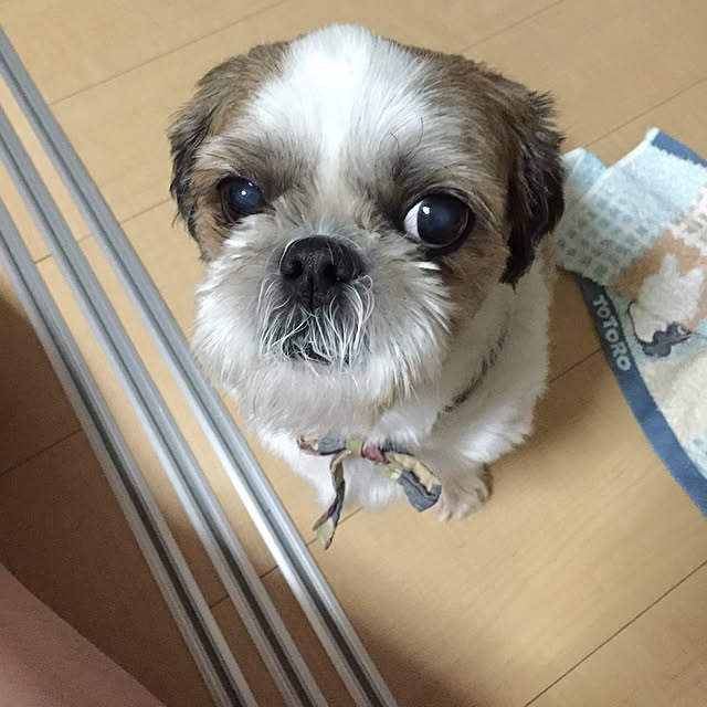 emiさんの実例写真