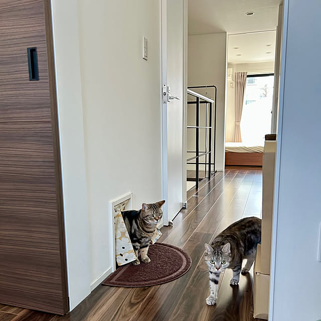 kaedeさんの部屋