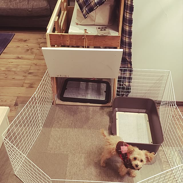 cocco0505さんの実例写真