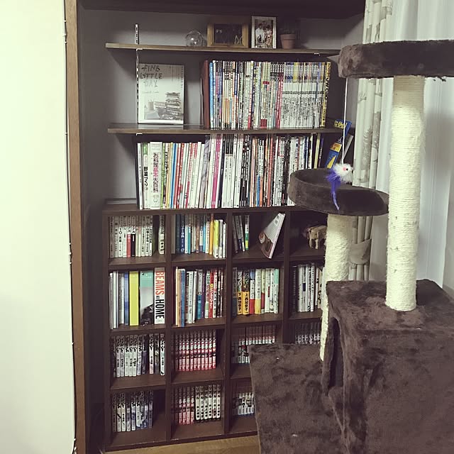 hacchiさんの実例写真