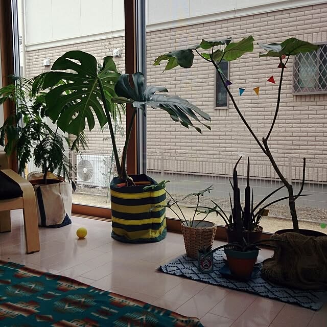 urchinさんの実例写真