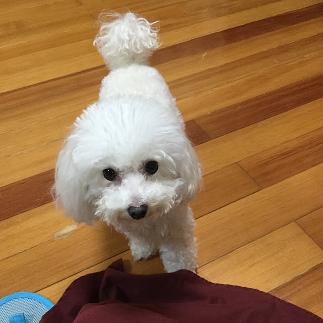 kakoさんの実例写真