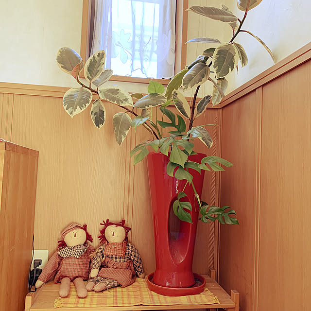 berry_1018さんの実例写真