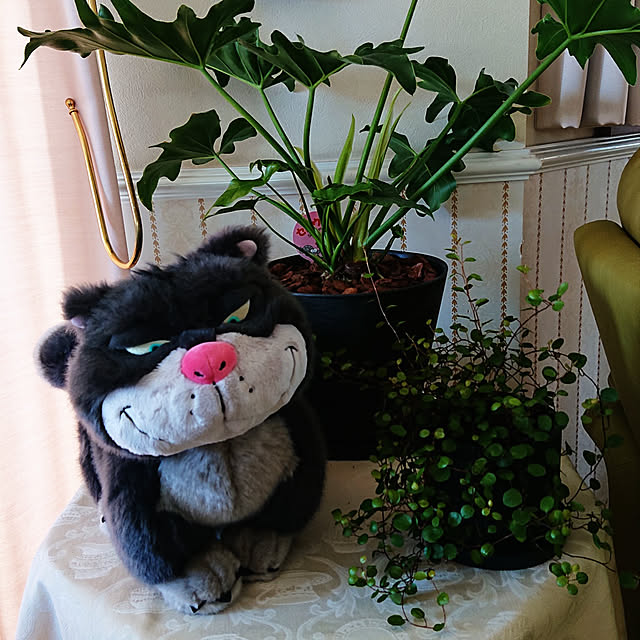 roseさんの実例写真