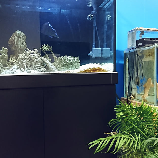 sea.story-0501さんの実例写真