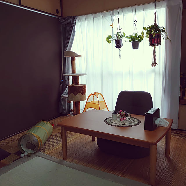 fukuさんの実例写真
