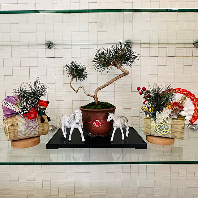 mizucchiさんの実例写真