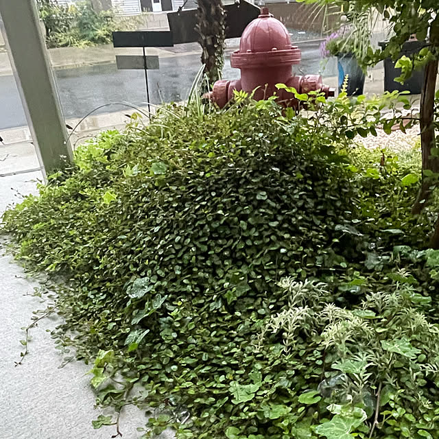 marinkoさんの実例写真