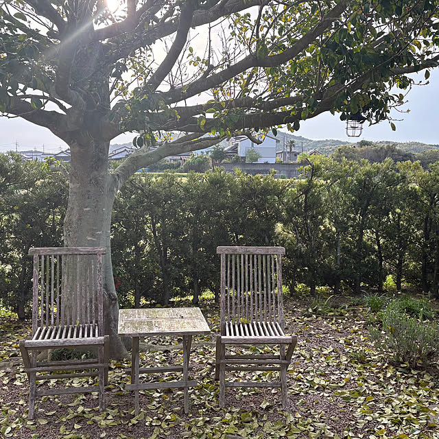 Kaeru-Mamaさんの実例写真