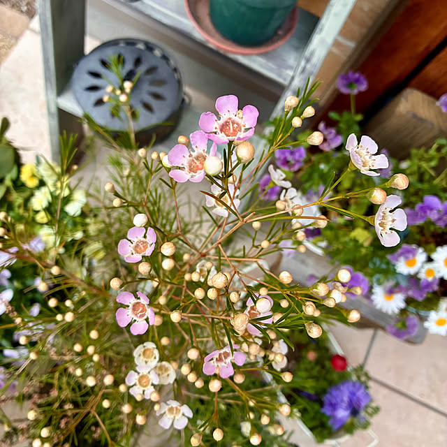 ayayayayaさんの部屋