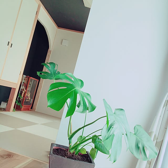 naaaaaaaさんの実例写真