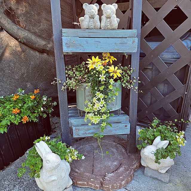 mocomocoさんの部屋