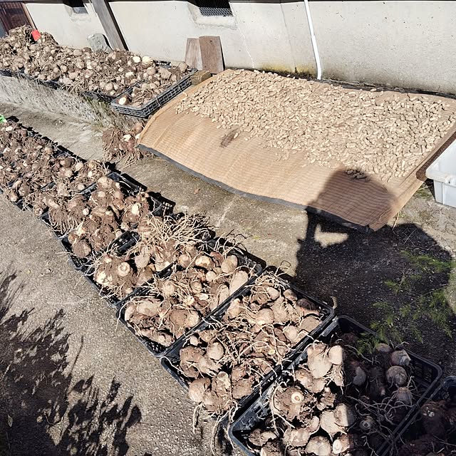 aoinokimiさんの部屋