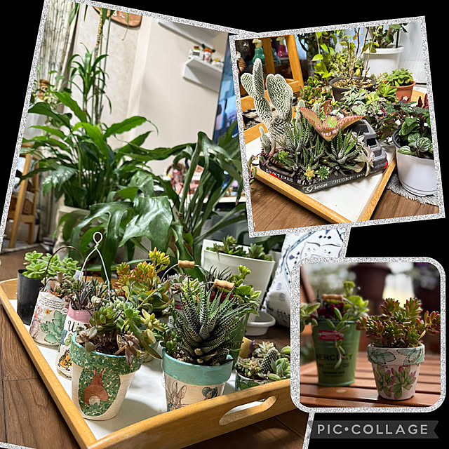 Aqettyさんの部屋