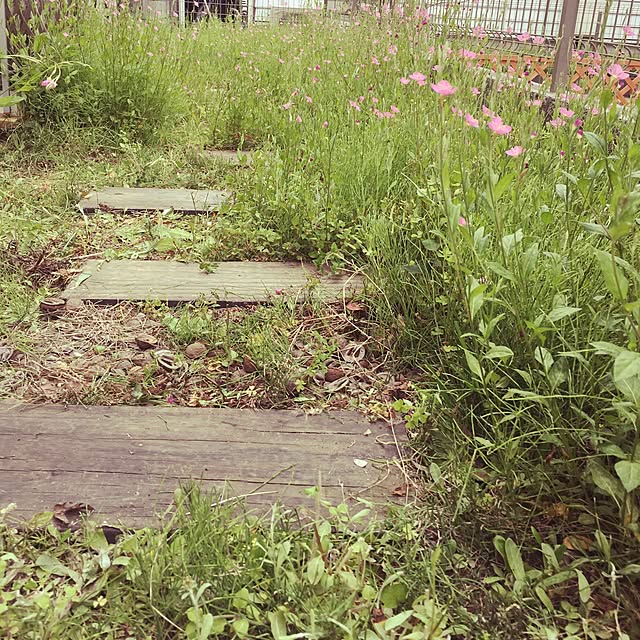 myaさんの実例写真
