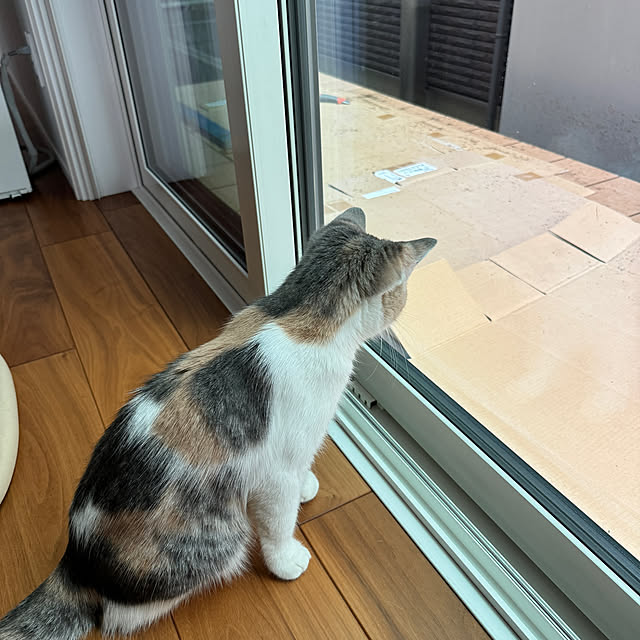 yoshiteiさんの部屋
