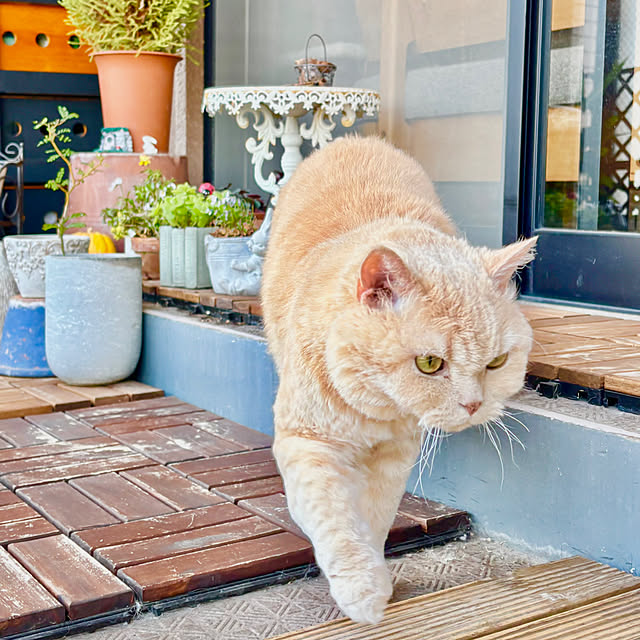 naokoさんの部屋