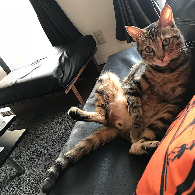 momoさんの実例写真
