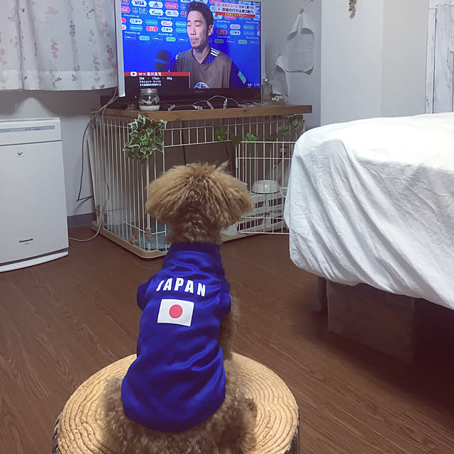popuさんの実例写真