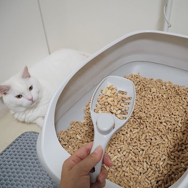 tomatoさんの実例写真