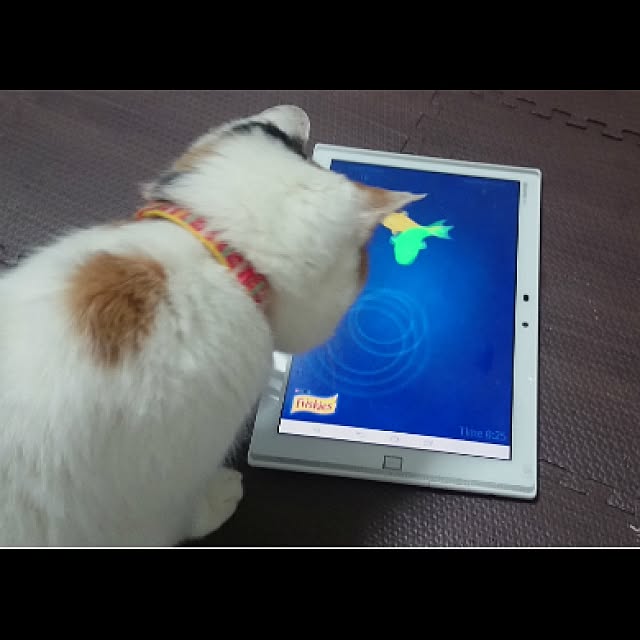 hirokoさんの実例写真