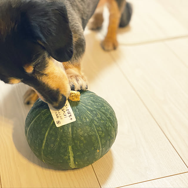 ohanaさんの実例写真