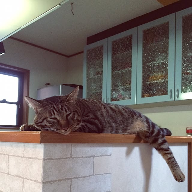 hiromini_sさんの実例写真