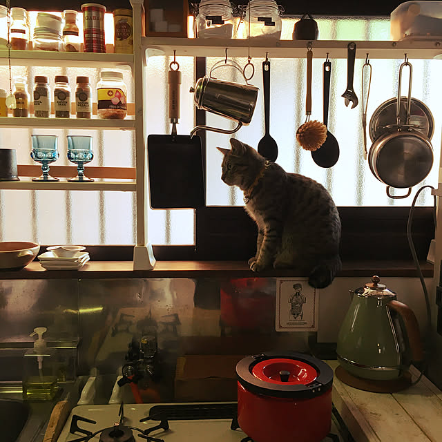 Mさんの実例写真