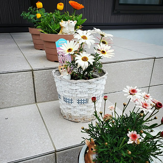 mahiyuchiさんの実例写真