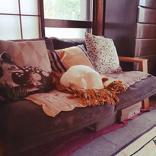 amifuuさんの実例写真