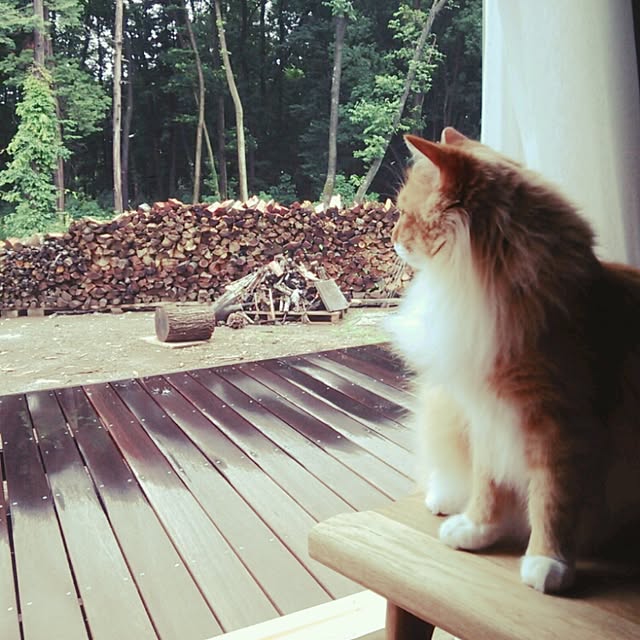 hiroさんの実例写真