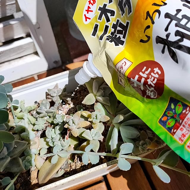 YUKKIさんの部屋