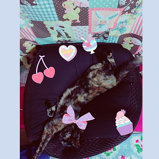 cherrycherryさんの実例写真
