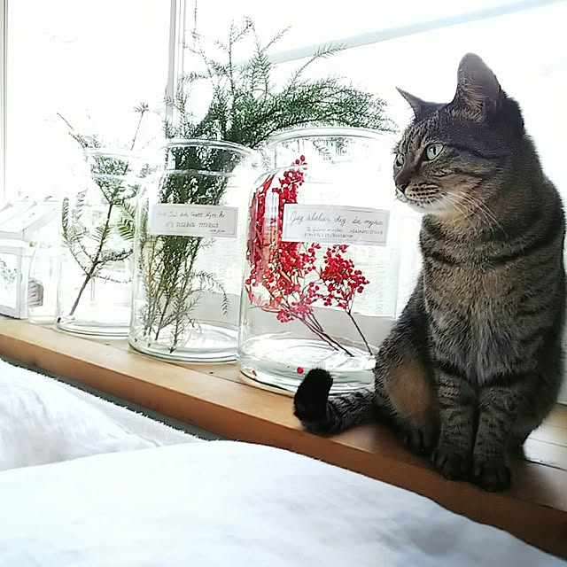 weさんの実例写真