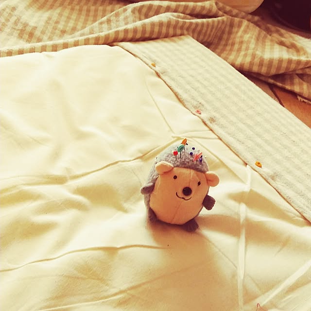 kazuさんの実例写真