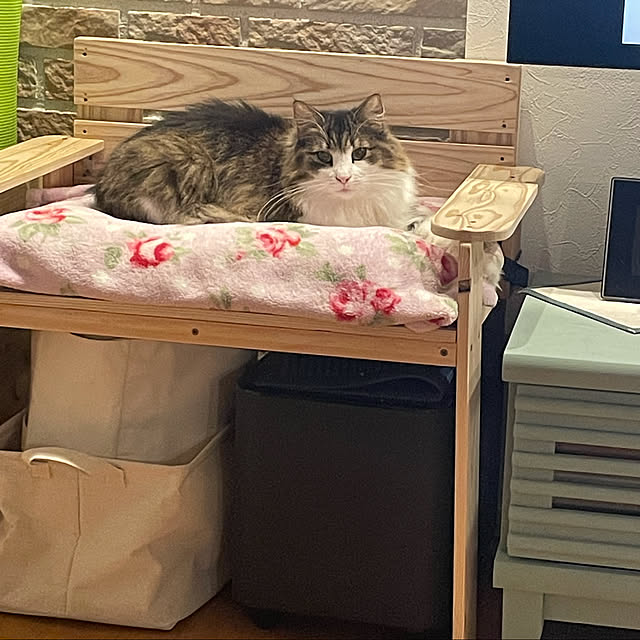 yさんの実例写真