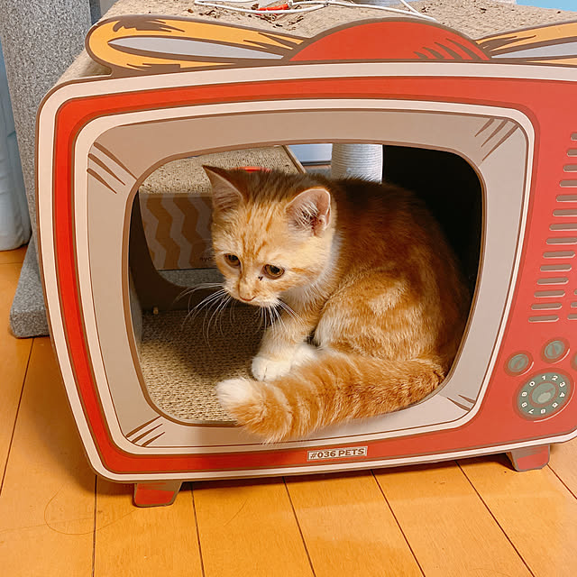 moolさんの実例写真