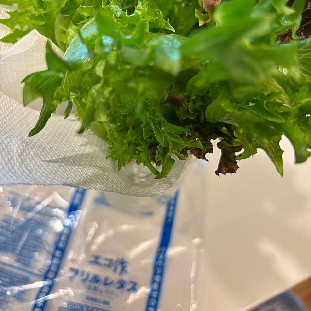 syutmmさんの部屋