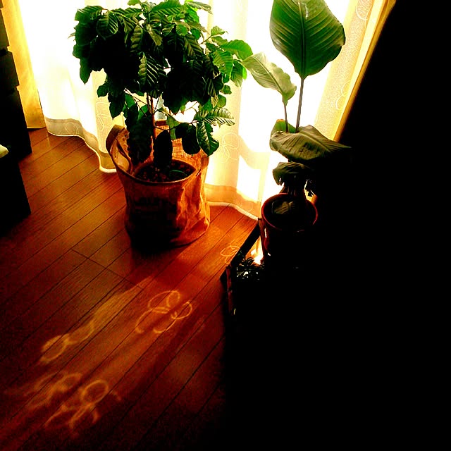 kyooonさんの実例写真