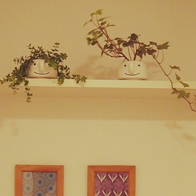 shirokinaさんの実例写真