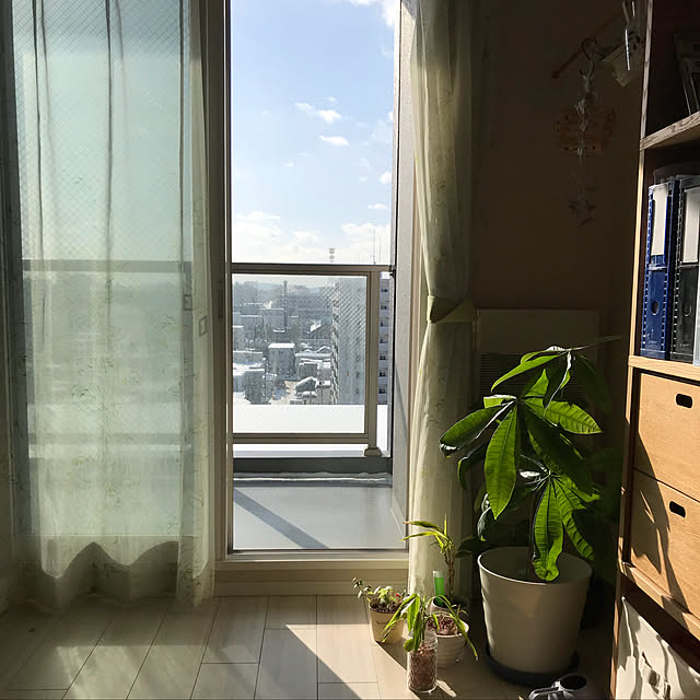 mimiさんの実例写真