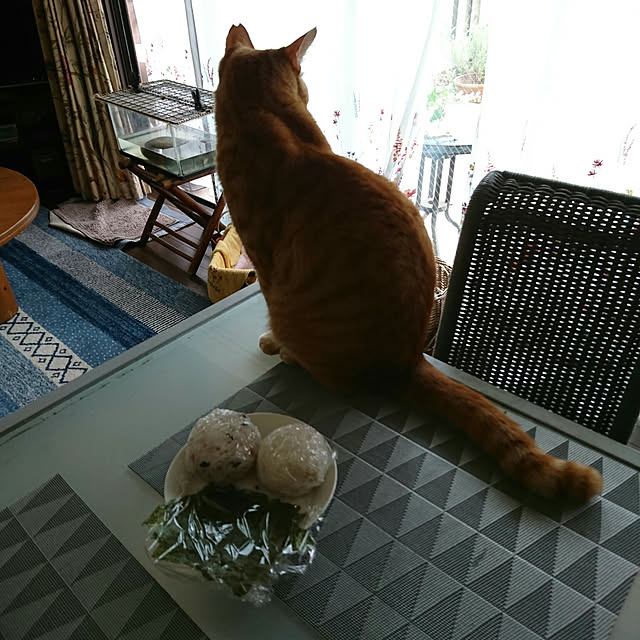 okyosan101さんの実例写真