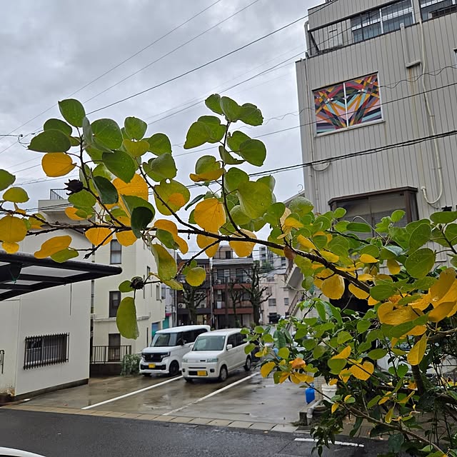 mitsuyama3136さんの部屋