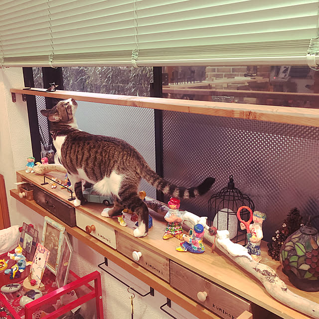 jijiさんの実例写真