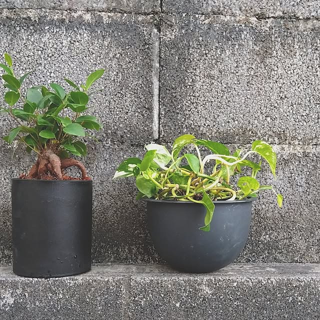 jun_y32_homeさんの実例写真